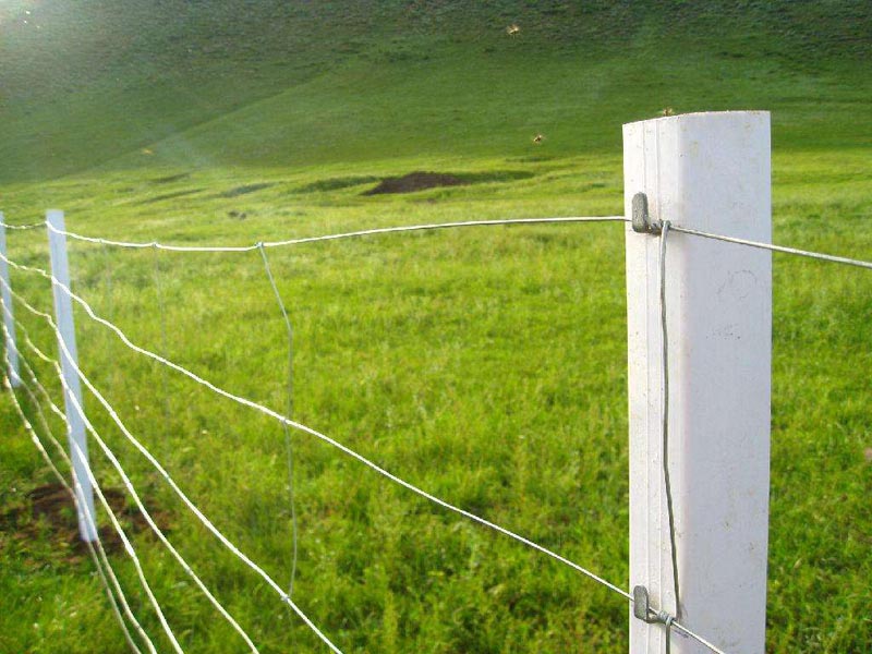 ��ԭ�o(h��)�ھW(w��ng)